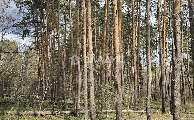 1-Комнатная квартира 39.76м², эт. 1, фото 40
