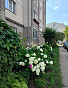2-Комнатная квартира 58.90м², эт. 4, фото 10