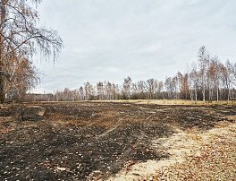 Участок 6 сотка