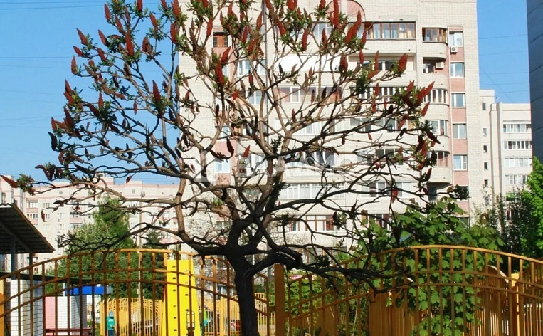 2-Комнатная квартира 53.80м², эт. 4, фото 11