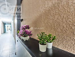 Студия 23.70м²