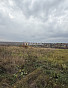 Земельный участок 10.00 соток, фото 9