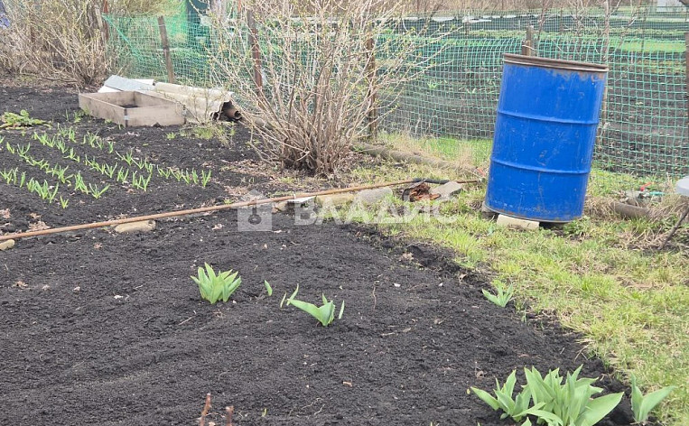 Дом 31.50м², фото 34