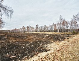 Участок 6 сотка