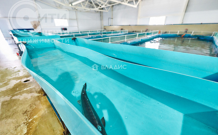 Коммерческое помещение 4422.40м², эт. 1, фото 34