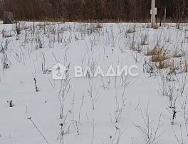 Земельный участок 10.00 соток