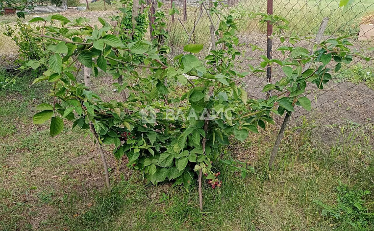 Дом 77.50м², фото 20