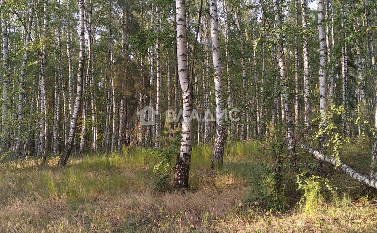 Дом 217.00м², фото 34