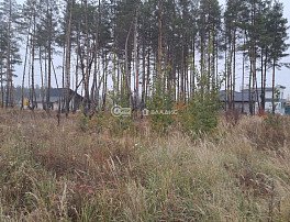 Участок 8 сотка