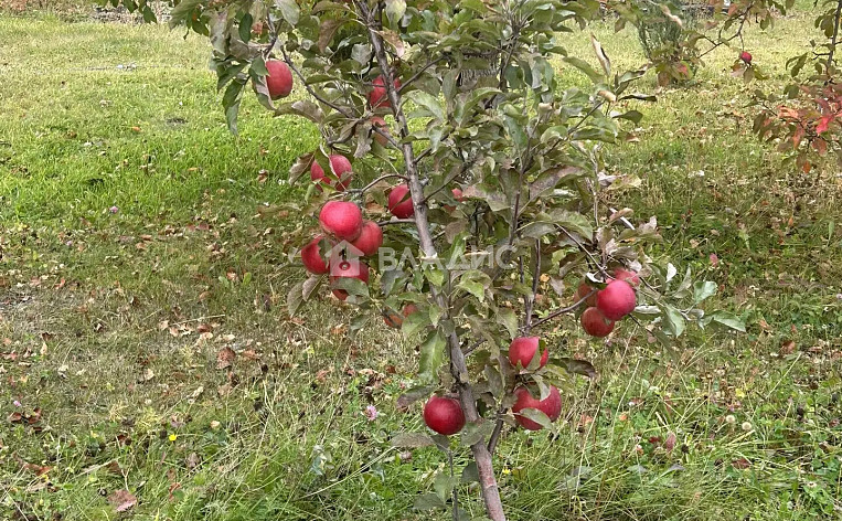 Дом 74.80м², фото 21