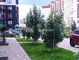 1-комнатная квартира, 33 м2