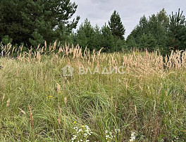 Земельный участок 44.50 соток