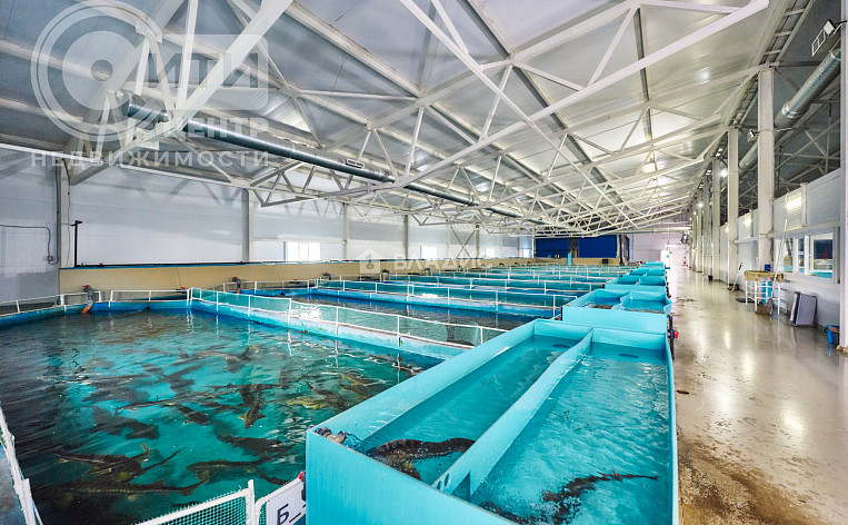 Коммерческое помещение 4422.40м², эт. 1, фото 34
