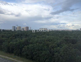 3-Комнатная квартира 81.00м²