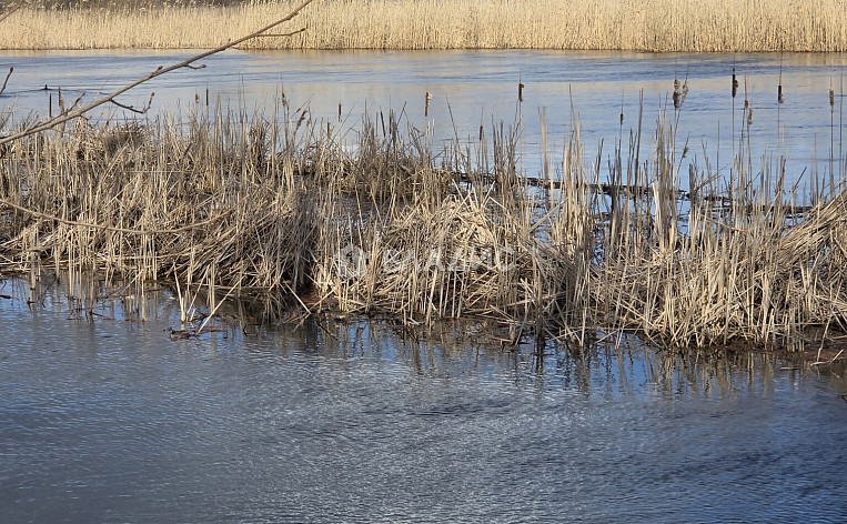 Дом 62.70м², фото 28