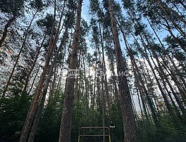 2-комнатная квартира, 65.5 м2