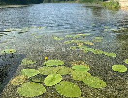 Дом, 37.1 м2, 9.3 сотка