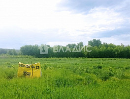 Земельный участок 50.00 соток