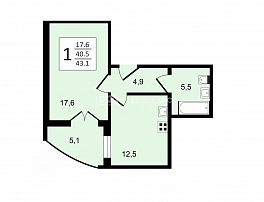 1-комнатная квартира, 43.1 м2