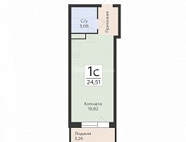 1-комнатная квартира, 24.51 м2