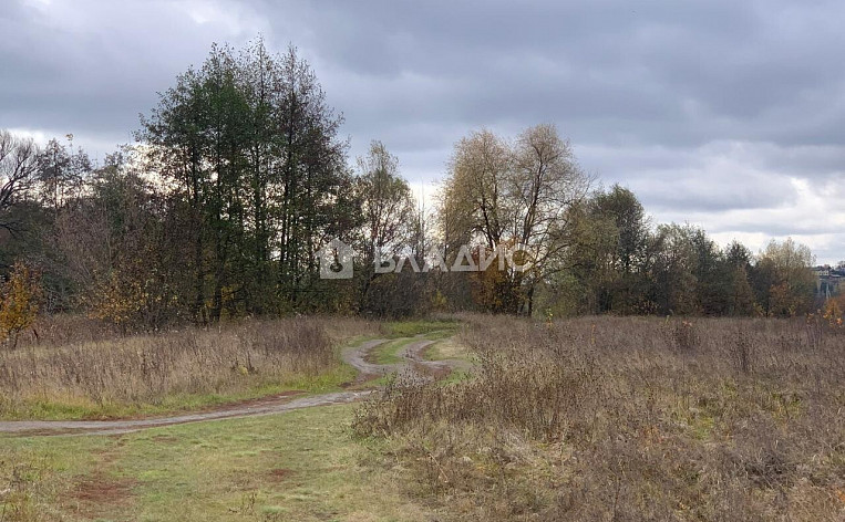 Земельный участок 35.00 соток, фото 10