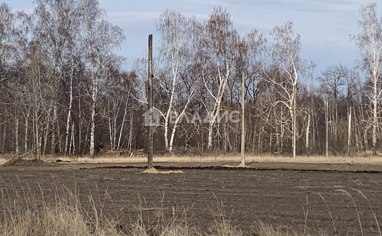 Земельный участок 8.00 соток, фото 6