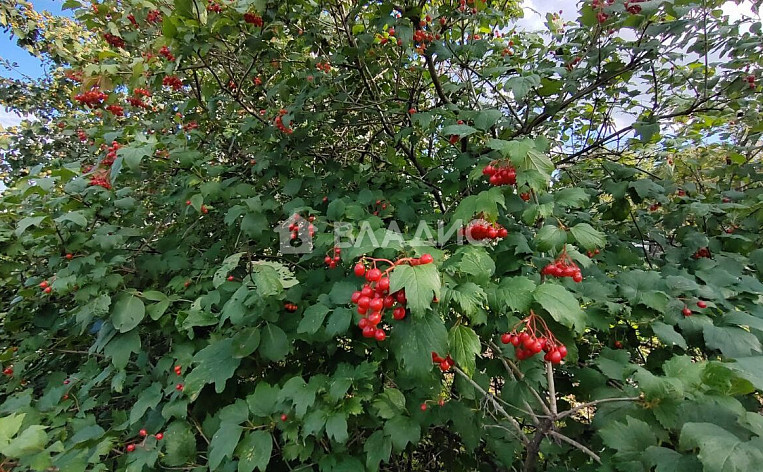 Земельный участок 6.00 соток, фото 20