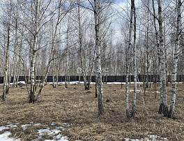 Земельный участок 9.00 соток