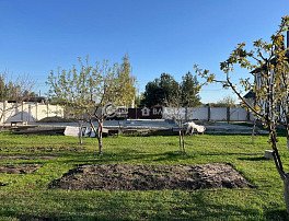 коммерческая