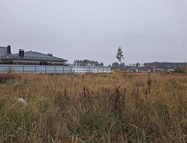 Участок 8 сотка