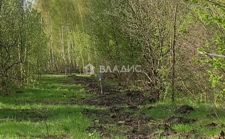 Земельный участок 5.00 соток, фото 2