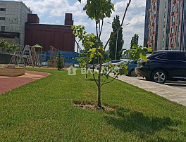 Студия 20.70м²