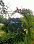 Участок 18 сотка, id: 951104, фото 21