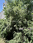 1-Комнатная квартира 30.70м², эт. 4, фото 20