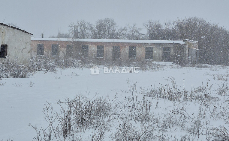 Земельный участок 245.36 соток, фото 3