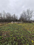 Земельный участок 21.10 соток, фото 3