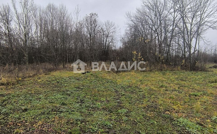 Земельный участок 21.10 соток, фото 11