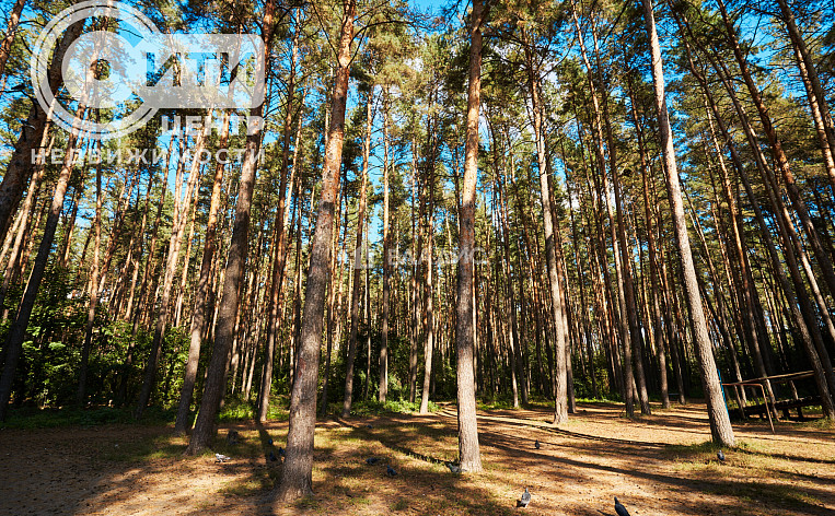 1-Комнатная квартира 40.00м², эт. 3, фото 17