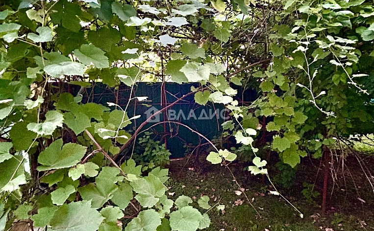 Дом 74.00м², фото 40