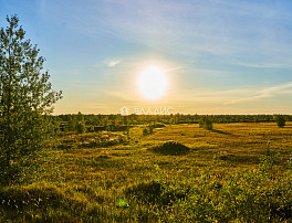 Земельный участок 1700.00 соток