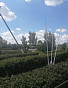 Земельный участок 13.50 соток, фото 22