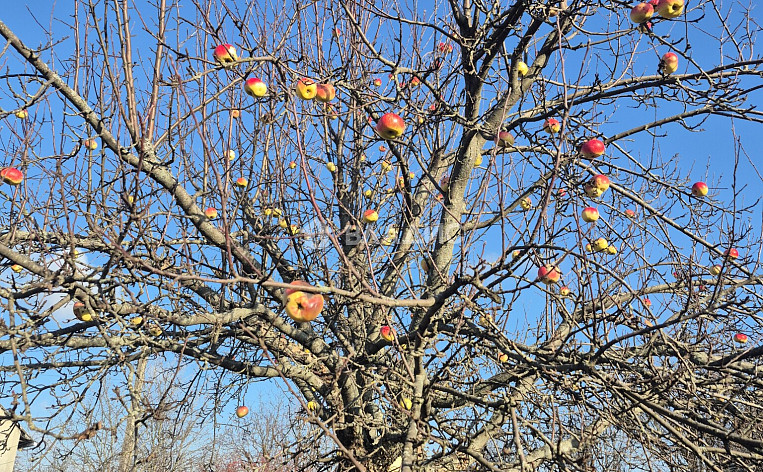 Дом 10.00м², фото 22