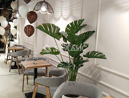 Коммерческое помещение 60.00м²