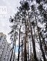1-Комнатная квартира 38.60м², эт. 1, фото 1