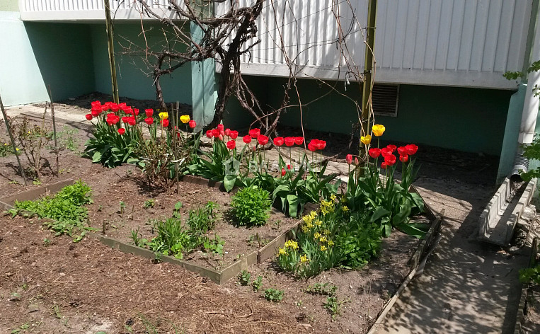 3-Комнатная квартира 66.70м², эт. 1, фото 17