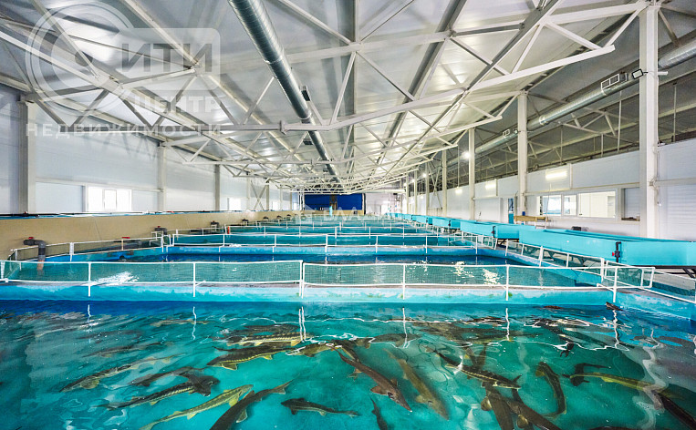 Коммерческое помещение 4422.40м², эт. 1, фото 34