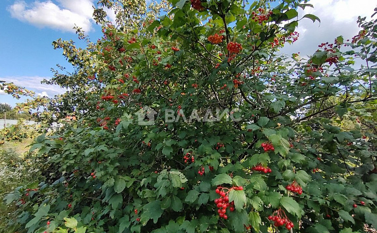 Земельный участок 6.00 соток, фото 20