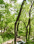 2-Комнатная квартира 44.00м², эт. 3, фото 23