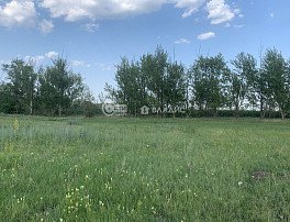 Участок 11.5 сотка
