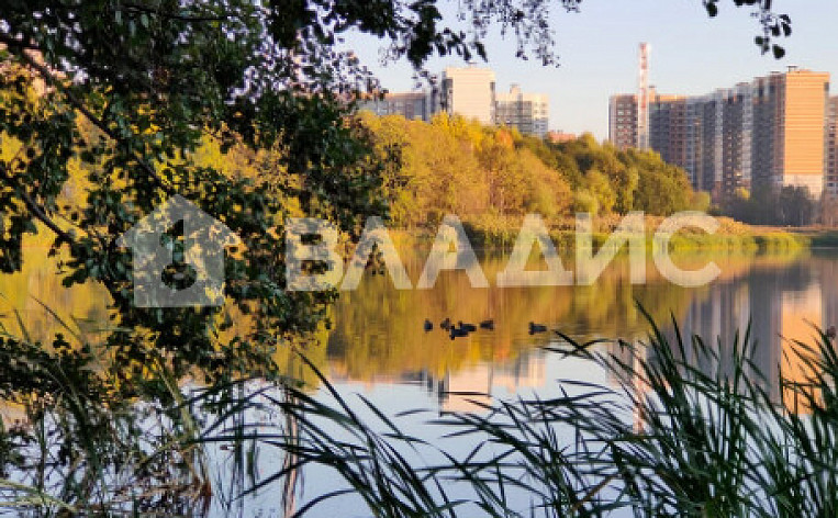 1-Комнатная квартира 53.00м², эт. 24, фото 28